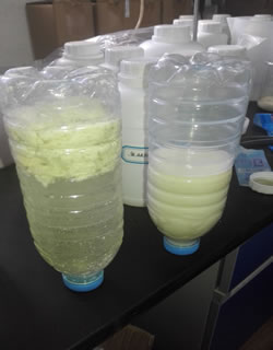 ��ζ��Ʒ̎��ǰ��Ȍ�(du��)