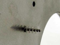 ��ëˢ�坍��ĥ�A���մɲ�о���