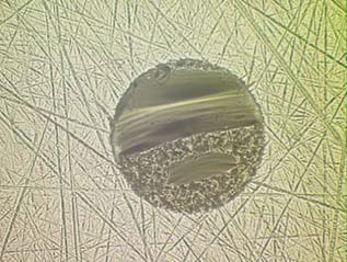 ���w�B����ȥ�z-�wо�Ɠpȱ��